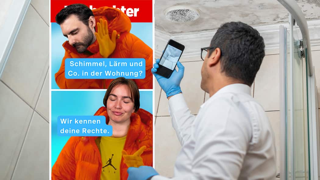 Schimmel, Lärm und Co. in der Wohnung? Beobachter Video Recht einfach: Schimmel, Lärm in der Wohnung