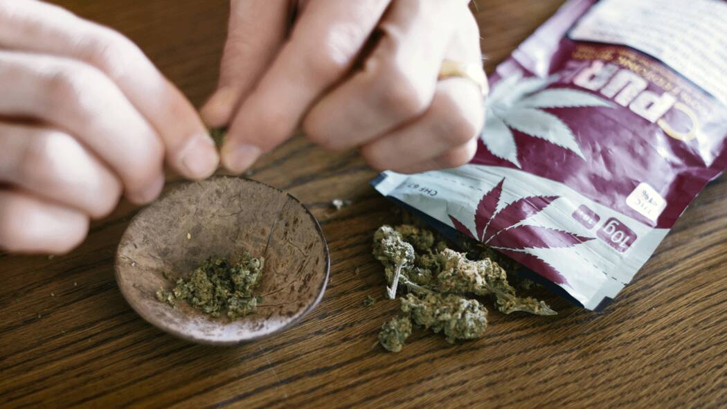 Keine Umschulung – wegen CBD-Konsum Mann baut einen Joint mit legalem CBD-Gras