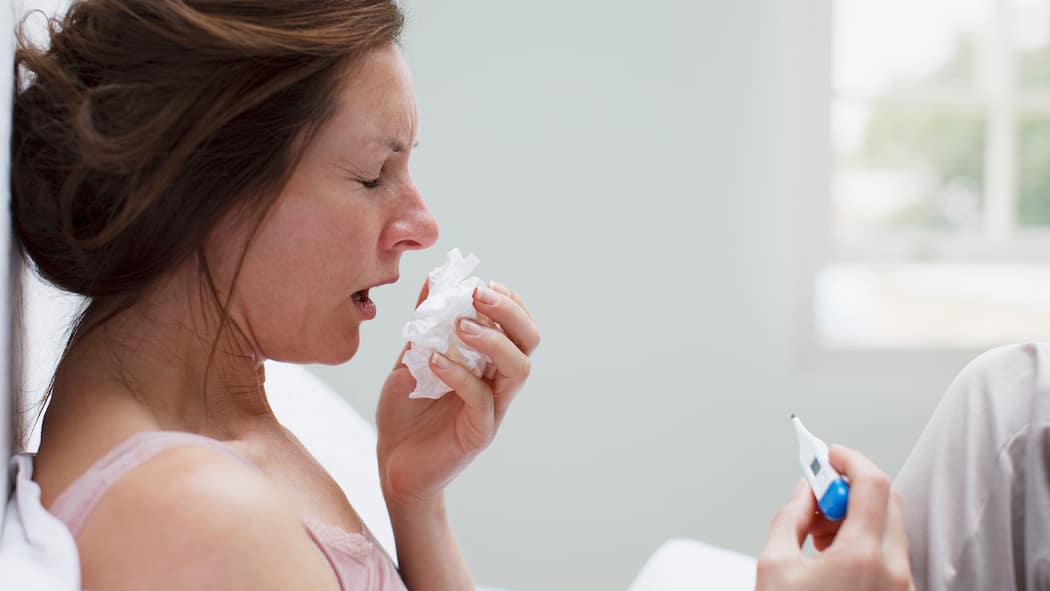 Für vieles ist ein Kraut gewachsen Eine Frau mit Fieberthermometer in der Hand schneuzt sich.