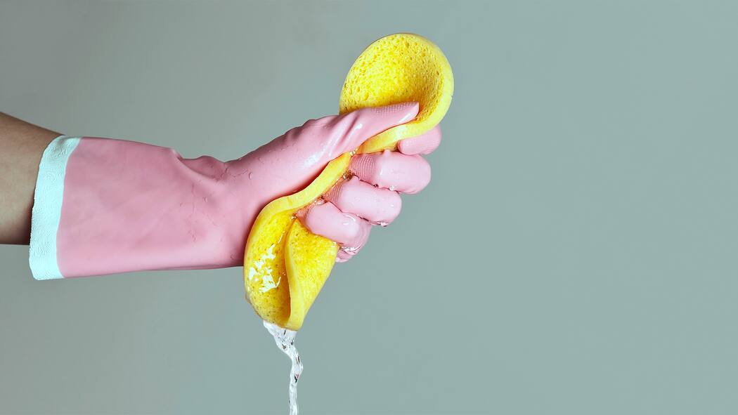 Für die «Maid» nicht ganz so sauber Putzfrau presst Wasser aus Schwamm