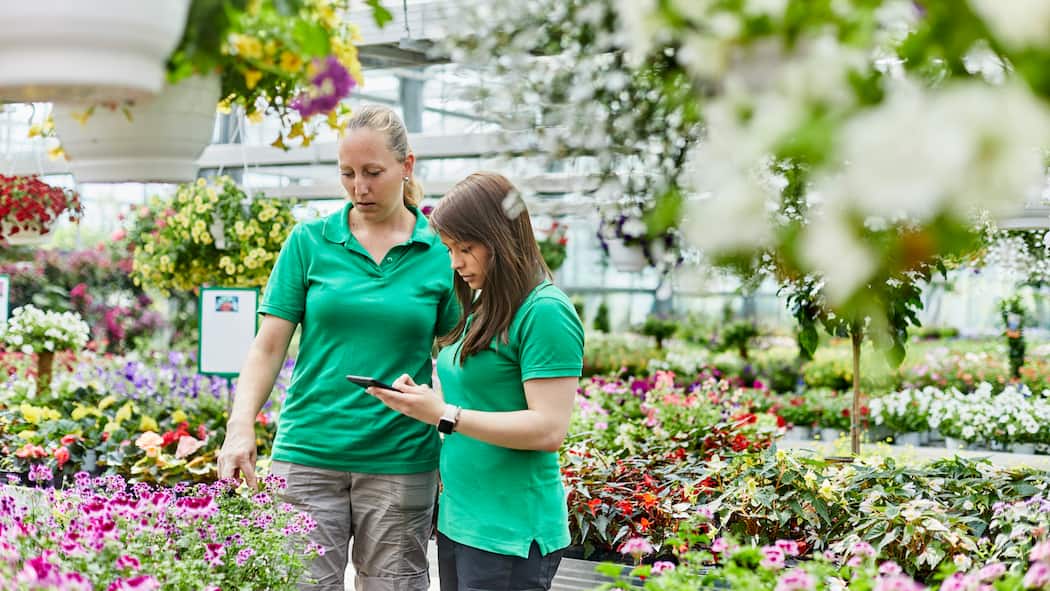 Die Lehre geht los – das erwartet Lernende im Betrieb Zwei Floristinnen in einem Gewächshaus - Wie viel Ferien stehen Auszubildenden zu? Was passiert bei schlechten Noten? Was man zur Ausbildungszeit wissen muss