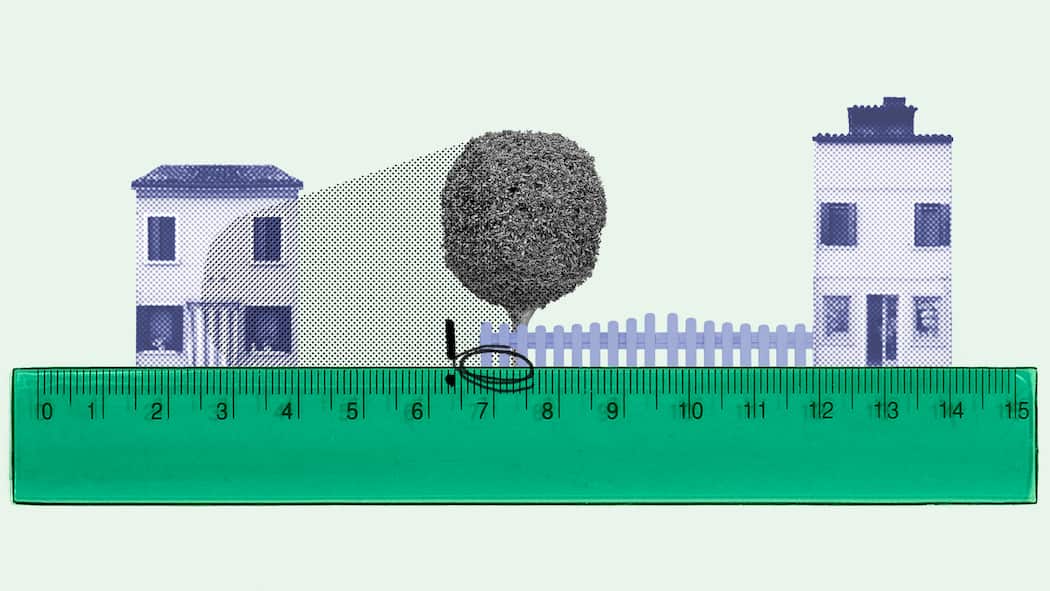 Wann ist Nachbars Bäumchen zu nah? Ein grüner Massstab misst den Abstand eines Baums, der zwischen zwei Häusern auf der Grenze des Grundstücks steht. Bei Abstandsvorschriften und der Frage, ob ein Gewächs zu nah am Grundstück steht, spielen drei Faktoren eine wichtige Rolle.