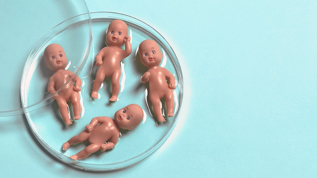 Wie finde ich heraus, wer mein Vater ist? Vier kleine Babypuppen liegen in einer Petrischale, die mit einer Flüssigkeit überzogen ist. Wer nach 2001 aus einer Samenspende gezeugt wurde, kann mittels Gesuch bei den Behörden um Auskunft über den Spender verlangen.