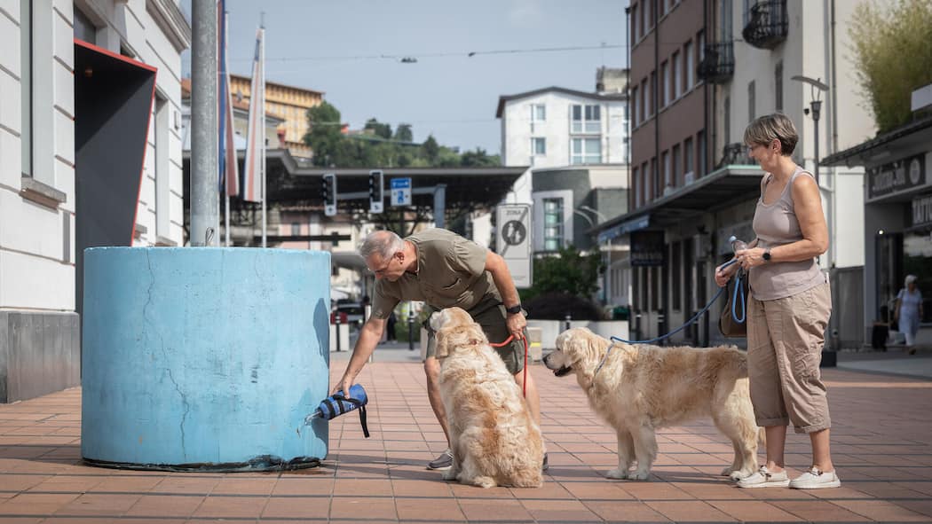 Auch jenseits des Gotthards droht nun ein Pipi-Gate Mann giesst in Chiasso Wasser über Hunde-Pipi - Am Bahnhof Müllheim-Wigoltingen könnte bald jeder mit einer Wasserflasche unterwegs sein. Der Grund? Ein teures Umbauprojekt mit einem kleinen Mangel – und eine neue Regel in Chiasso