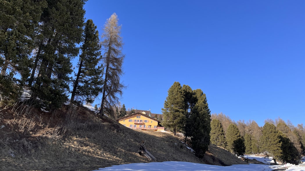 Die Villa-Pläne der Pro Juventute alarmieren die Aufsicht Chesa Spuondas am Suvrettahang in St. Moritz - Mitten am exklusiven Suvretta-Hang von St. Moritz plant Pro Juventute eine Luxusvilla. Damit sollen zusätzliche Einnahmen generiert werden. Die Stiftungsaufsicht ist alarmiert