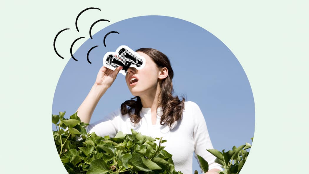 Zoff am Gartenzaun? Das gilt an der Grundstückgrenze Frau schaut durch Fernglas über eine Hecke - An der Grenze zum Nachbarn hört für manche der Spass auf. Was gilt rechtlich? Ein Überblick