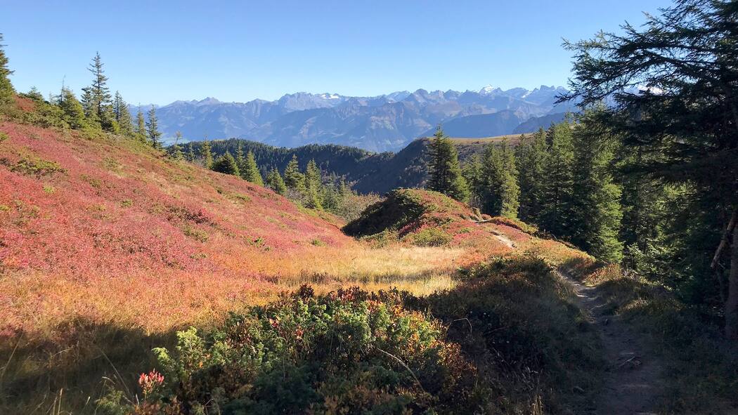 Diese 7 Wandertipps führen durch mystische Moore Das Hochmoor Haglere im Entlebuch - Moore sind im Herbst ein Landschaftstraum für Wanderinnen und Wanderer. Wir stellen sieben der schönsten Strecken der Schweiz vor