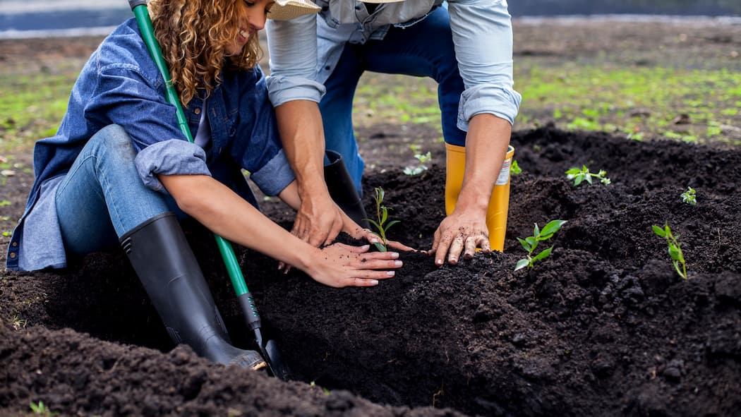 Nur wer sät, kann auch ernten Eine junge Frau sitzt im Gartenbeet und ein Mann steht daneben. Sie pflanzen etwas an.