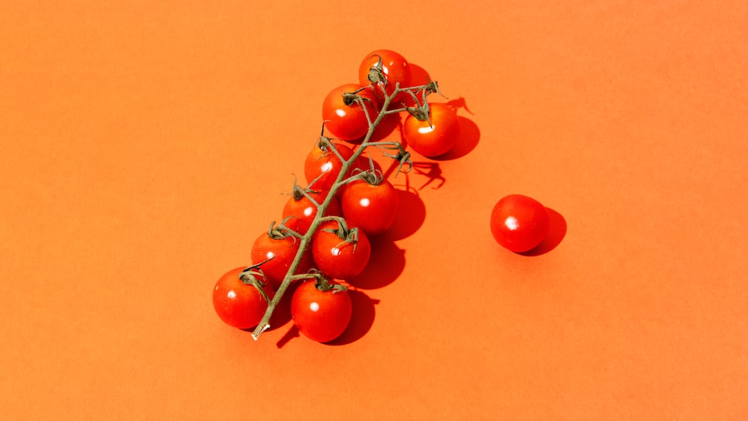 Warum hiesige Tomaten jetzt so teuer sind Kleine Tomaten vor orangenem Hintergrund. Durch teure Importzölle bei ausländischem Gemüse steigen auch die Preise für Schweizer Produkte.