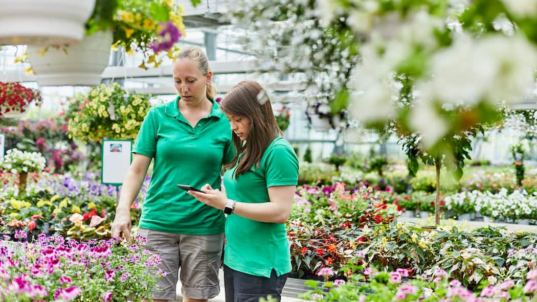 Lehrstart – das erwartet Lernende ab jetzt im Betrieb Zwei Floristinnen begutachten die Pflanzen in einem grossen Gewächshaus. Mit dem Lehrstart gibt es für Auszubildende viele neue Regeln. Was das Arbeitsrecht in der Schweiz vorschreibt.