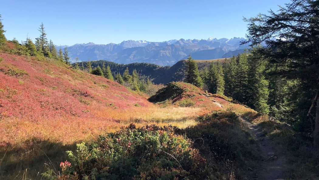 Hier sind 7 mystische Wanderungen durch Moore Das Hochmoor Haglere im Entlebuch - Moore sind im Herbst ein Landschaftstraum für Wanderinnen und Wanderer. Wir stellen sieben der schönsten Strecken der Schweiz vor