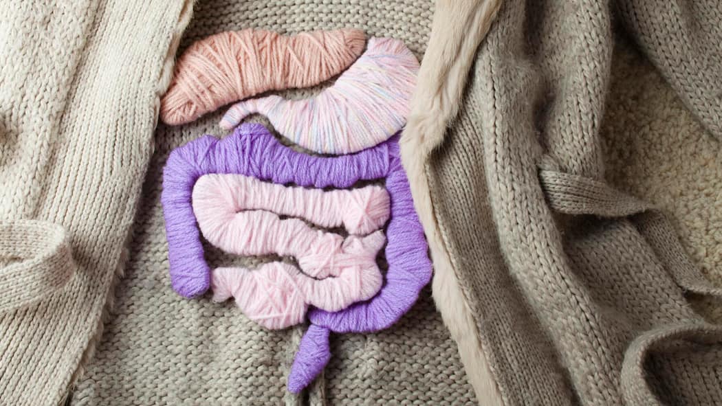 Problemlos durch den Magen Magen und Darm