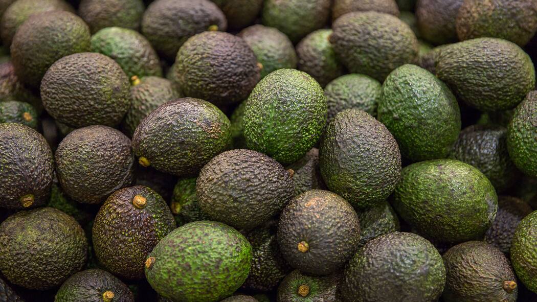 Zweite Haut für die Avocado Avocado mit Schutzschicht