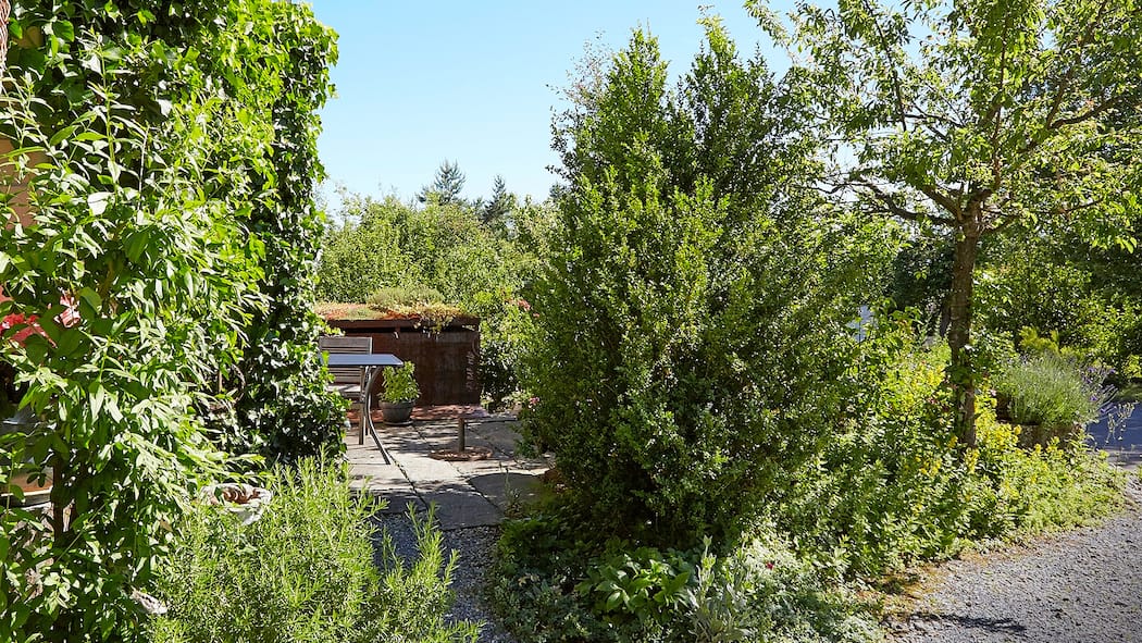 «Man muss den Garten nicht gleich umgraben» Garten