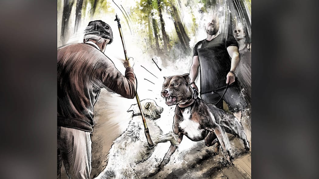 «Eine verdammte Schlamperei» Kampfhund greift Hund an