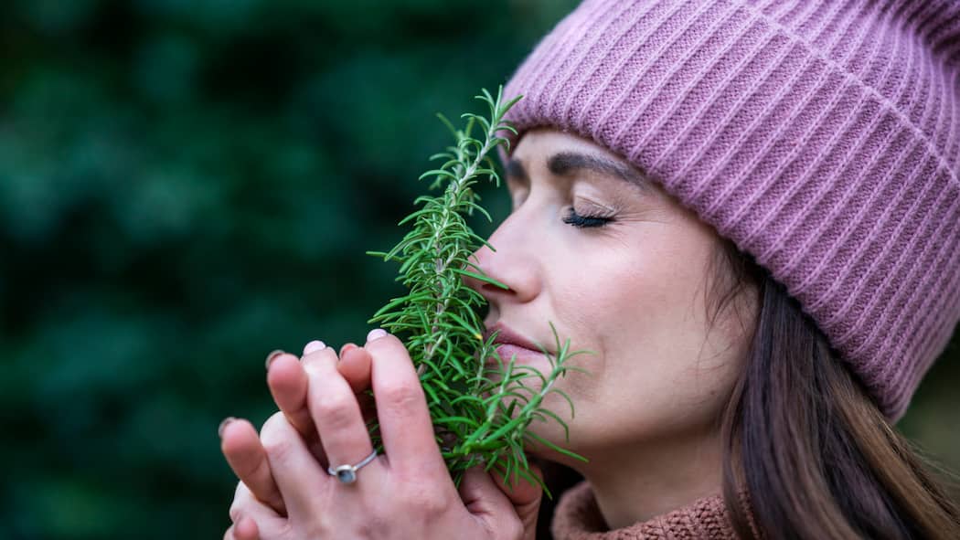 «Es wird unterschätzt, wie wichtig der Geruchssinn ist» Eine junge Frau mit Winterkappe riecht an einer Staude Rosmarin.
