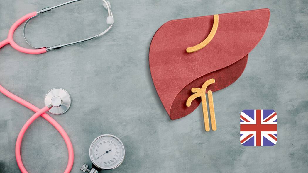 Answers to the most important medical questions Ein Stethoskop liegt auf einem grauen Tisch, daneben eine abstrakte Abbildung einer Leber.