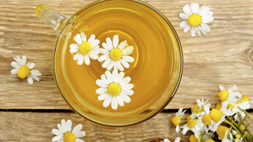 Natur pur gegen Viren und Bakterien Natur pur gegen Viren und Bakterien