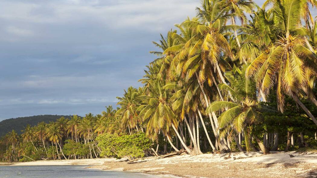 Verwaltungsräte sollen in Haft Verwaltungsräte sollen in Haft