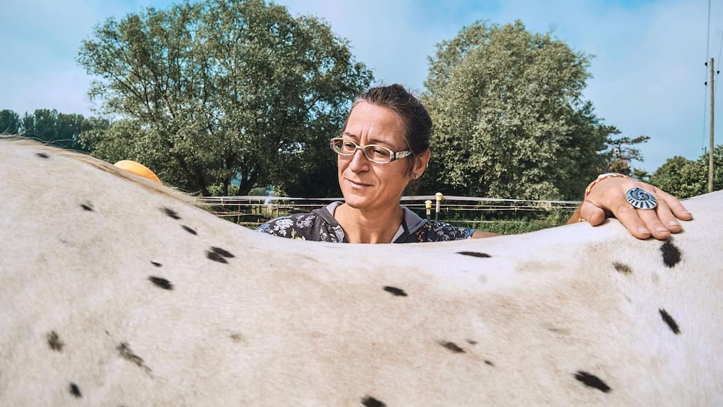 Hier diktiert nicht der Mensch, was für das Tier gut ist Zeit für Streicheleinheiten? Irina Wenk lässt Cayenne selbst entscheiden.