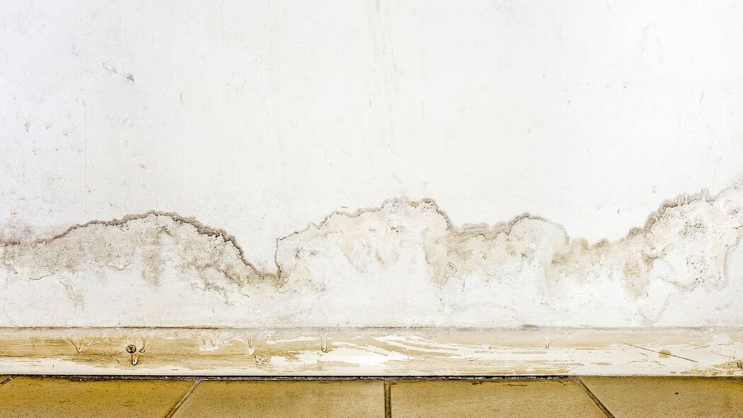 Schimmel vertreibt Mieterin aus Wohnung Flooding rainwater or floor heating systems, causing damage, peeling paint and mildew. - image