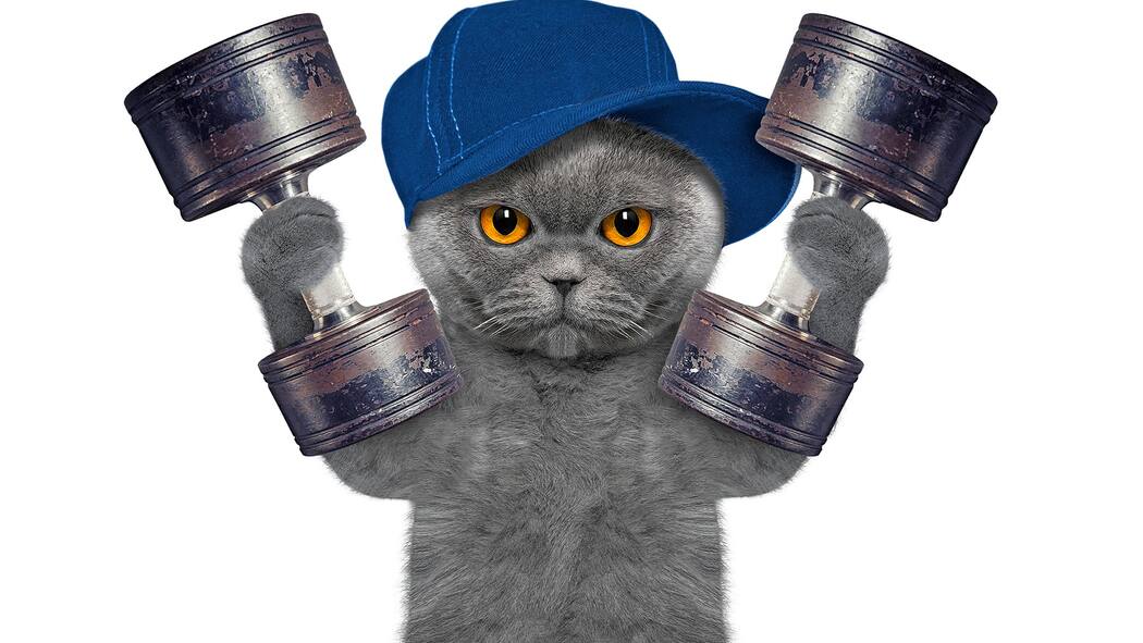 8 Fakten zum Muskelkater Muskelkater