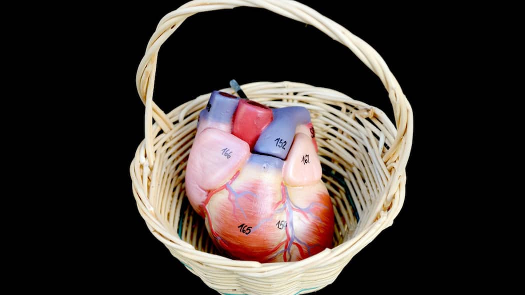 Ich will meine Organe nicht spenden – was kann ich tun? Menschliche Organe