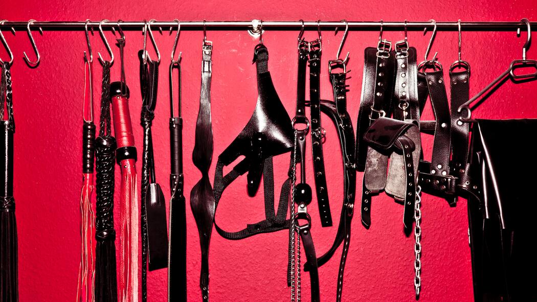 Die EU in unseren Betten? Sadomaso-Utensilien