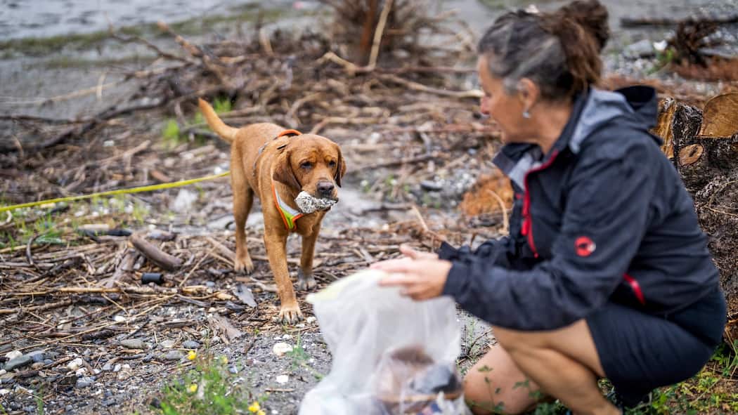 Dieser Hund sagt dem Abfall den Kampf an St. Gallen, Schweiz, 18. August 2022 - Esther Baumgartner Jakober mit Gueselhund Pepe beim Rhein.