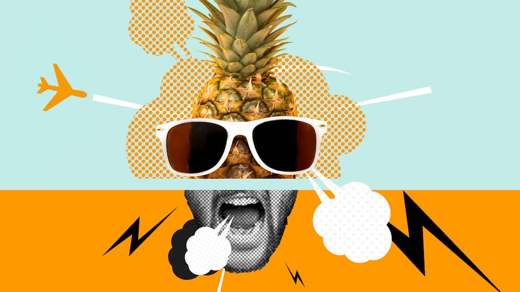 Pech in den Ferien – was jetzt? Ein geteiltes Gesicht, dessen obere Hälfte eine Ananas mit Sonnenbrille und deren untere Hälfte ein schreiender Mund ist vor blau-orangenem Hintergrund. Wie Sie Ferienstress vermeiden.