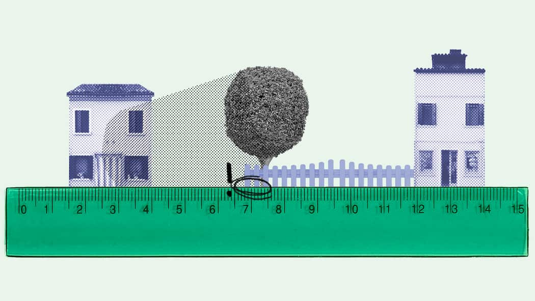Ist Nachbars Bäumchen zu nah? Ein grüner Massstab misst den Abstand eines Baums, der zwischen zwei Häusern auf der Grenze des Grundstücks steht. Bei Abstandsvorschriften und der Frage, ob ein Gewächs zu nah am Grundstück steht, spielen drei Faktoren eine wichtige Rolle.