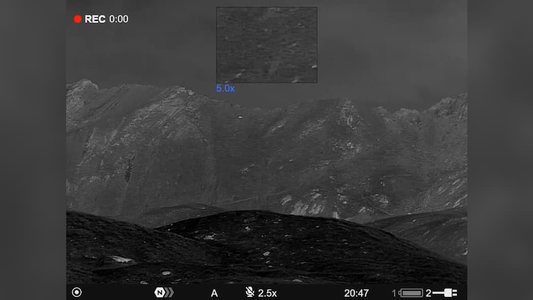 Unheimliche Wesen in der Ferne Aufnahme von Tieren mit einem Nachtsichtgerät.