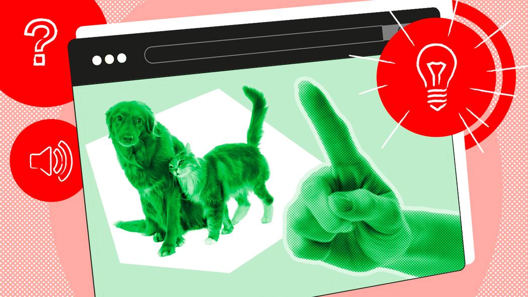 Tierrecht Tierrecht Webinar