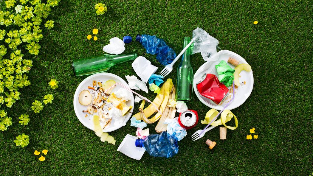 Kaugummi weggeworfen? Das macht neu 80 Franken Load of mixed rubbish left on the grass after a picnic, environmental care and waste concept