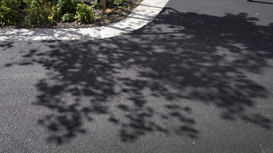 Zoff wegen Mammutbaum – Nachbarn fordern Geld wegen Schatten Der Schatten eines Baums auf dem Asphaltboden des Brown Boveri Platzes in Baden, fotografiert am Dienstag, 9. September 2025 in Baden. (Keystone/Gaëtan Bally)SCHWEIZ BAUM SCHATTEN