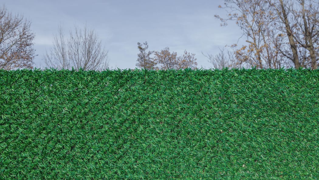Wenn der Nachbar die Baupolizei holt A new fence has been installed in the city. New green fence. Mesh fence
2730468801