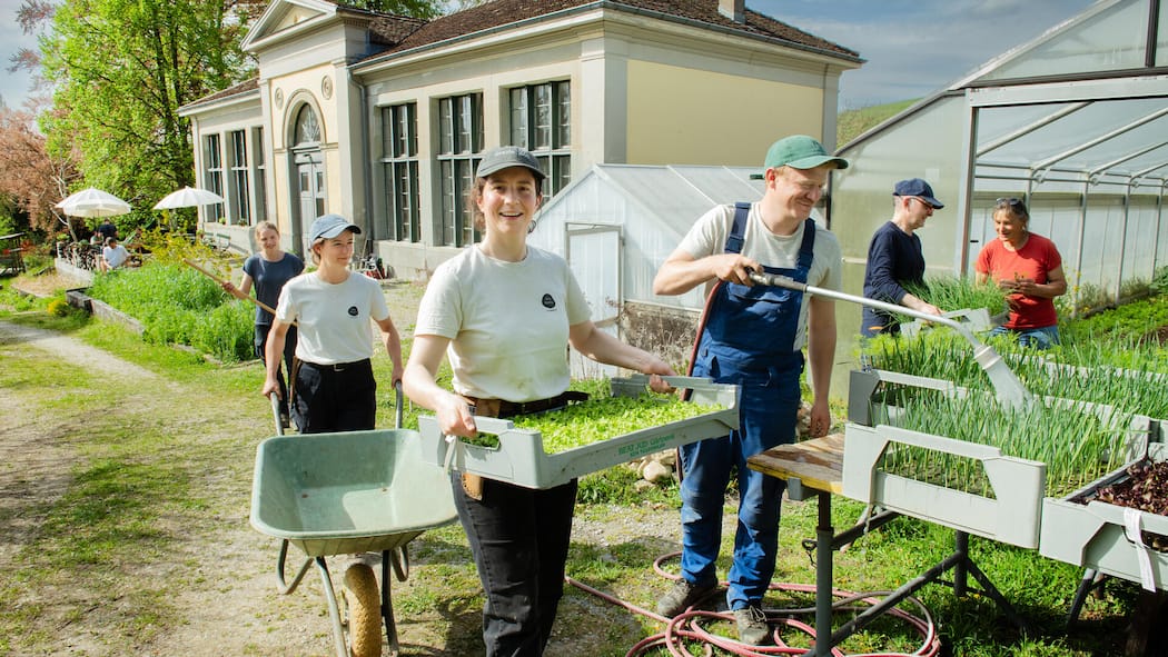 Hier lernen Städter die Kunst der Landwirtschaft Die Tiny Farms Academy, Praxiswochenende in der Schlossgärnerei Teufen, das Farm-Team mit Adèle Garret und Gabriel Köppel, 18. April 2026, Freienstein-Teufen