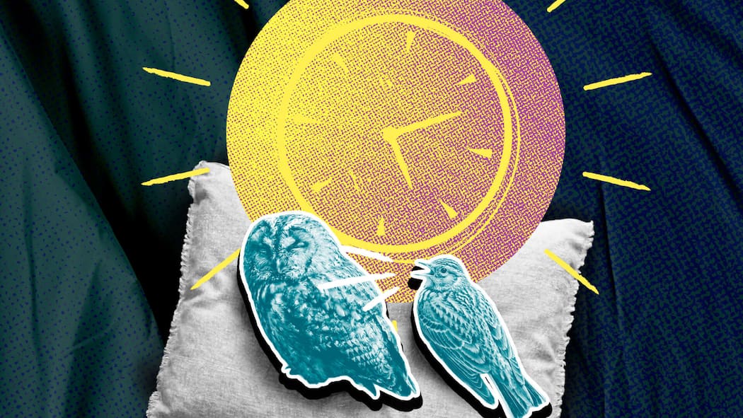 Mit diesen Tricks stärken Sie Ihre innere Uhr Collage mit Eule, Lerche und Uhr - Schlechter Schlaf ist weit verbreitet. Dabei wird ein Faktor oft unterschätzt: unsere innere Uhr. Vier Strategien können helfen, sie wieder ins Gleichgewicht zu bringen