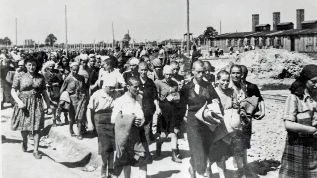 Jetzt kommt die Datenbank für die Verfolgten des Nationalsozialismus 1944: Frauen werden ins Konzentrationslager Auschwitz verschleppt.