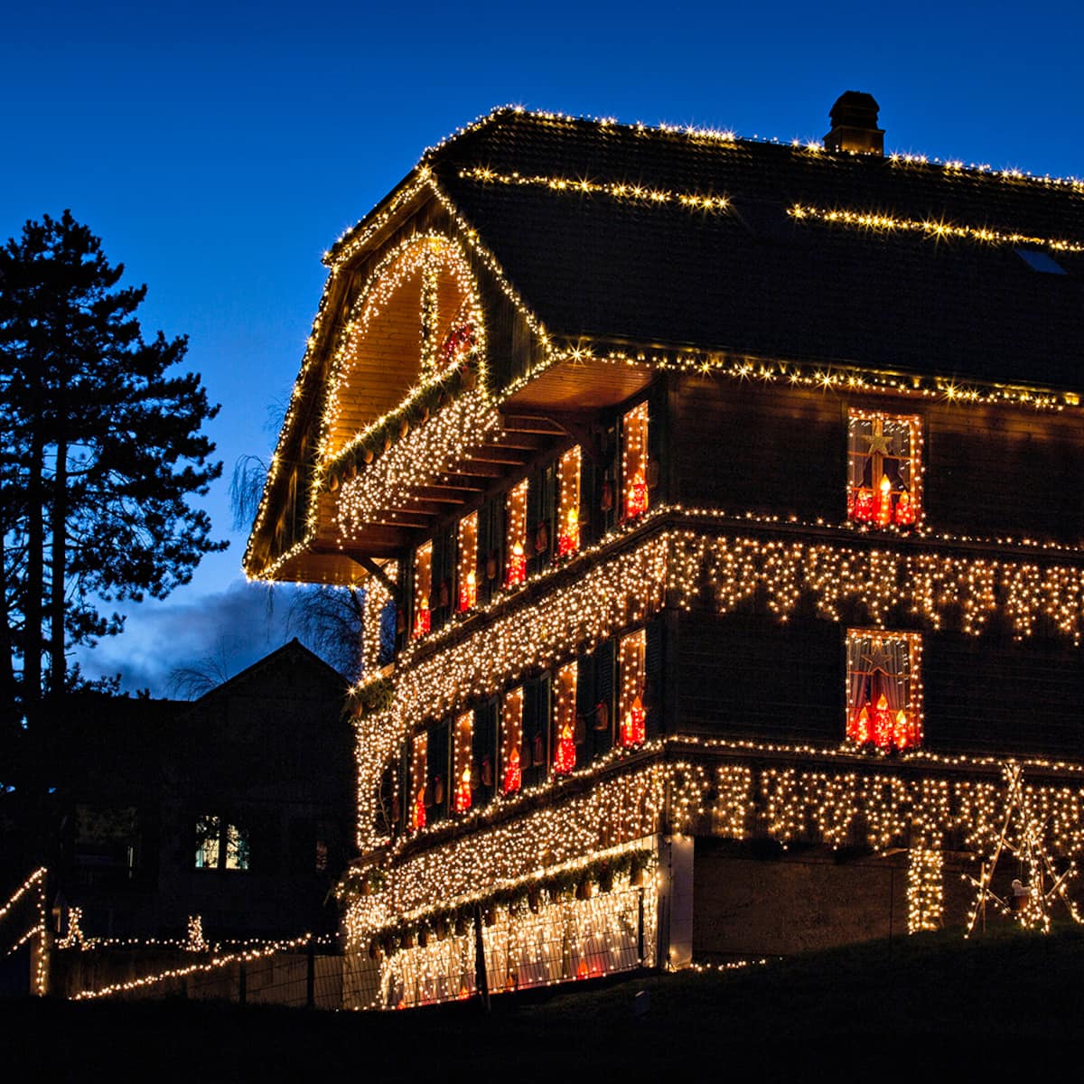 Die funkelnde Weihnachtsbeleuchtung und ihre Nörgler