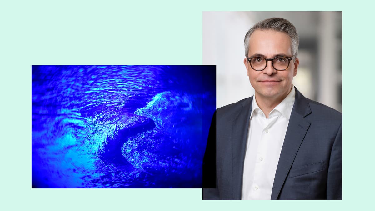 Wie wird man zum Narzissten, Herr Walter?