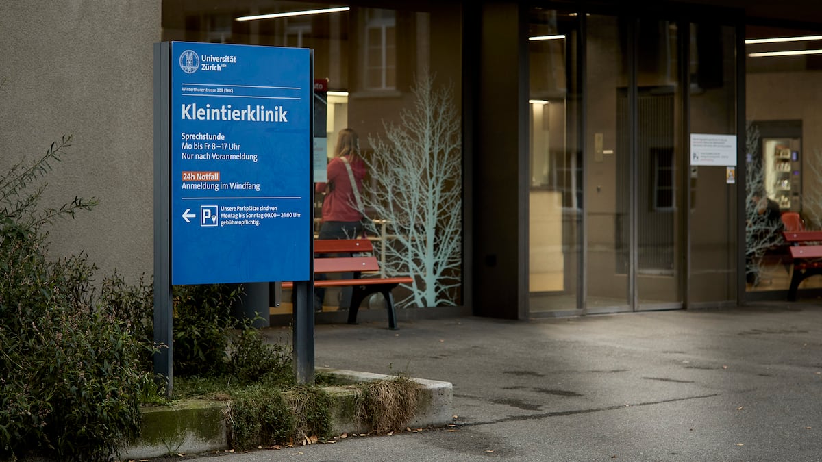 Zürcher Tierspital-Skandal: Behörde verbreitet irreführende Infos
