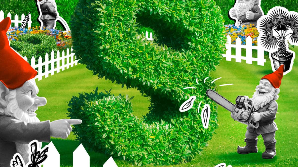 Grenzabstand, Kapprecht, Sichtschutz: Garten und Recht  das gilt |  Beobachter