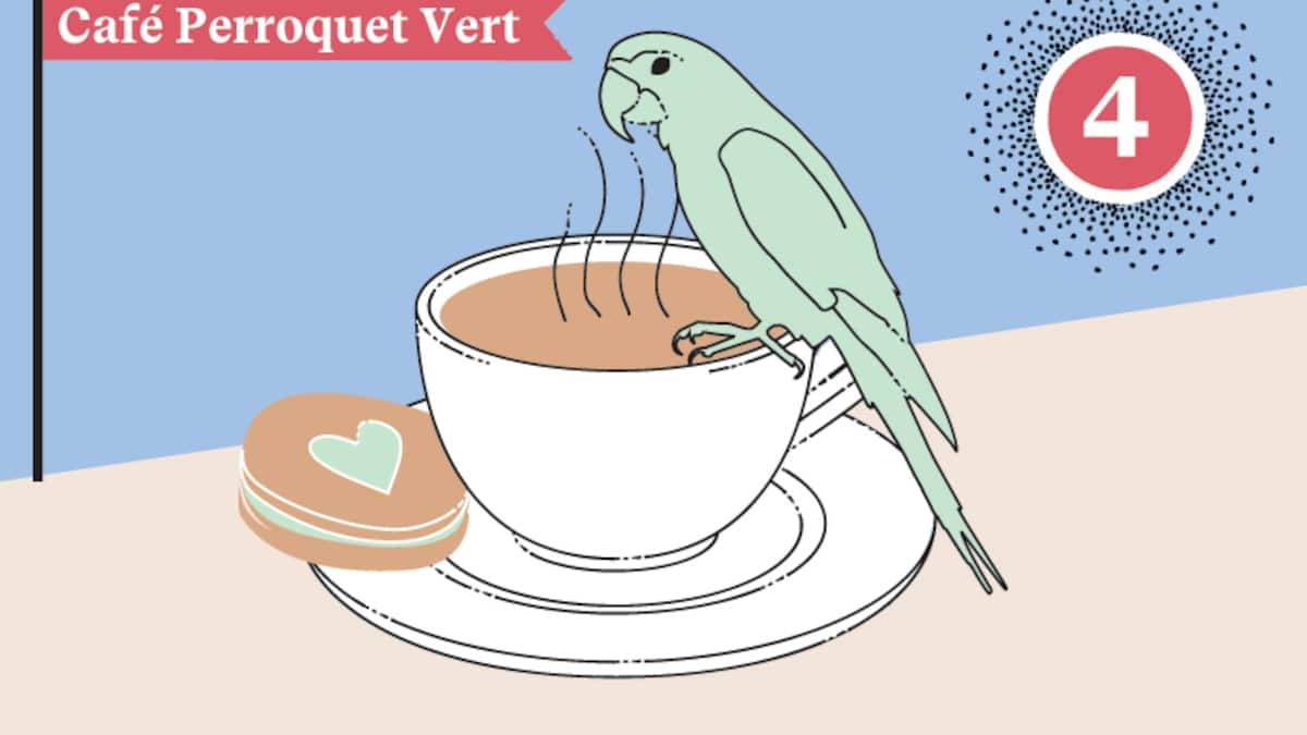 Illustration Café Perroquet Vert