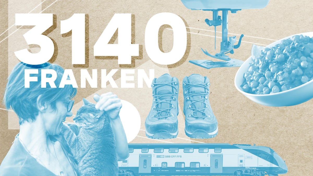 Abrechnung einer IV-Rentnerin: Sie hat 3140 Franken im Monat Abrechnung einer IV-Rentnerin: Sie hat 3140 Franken im Monat