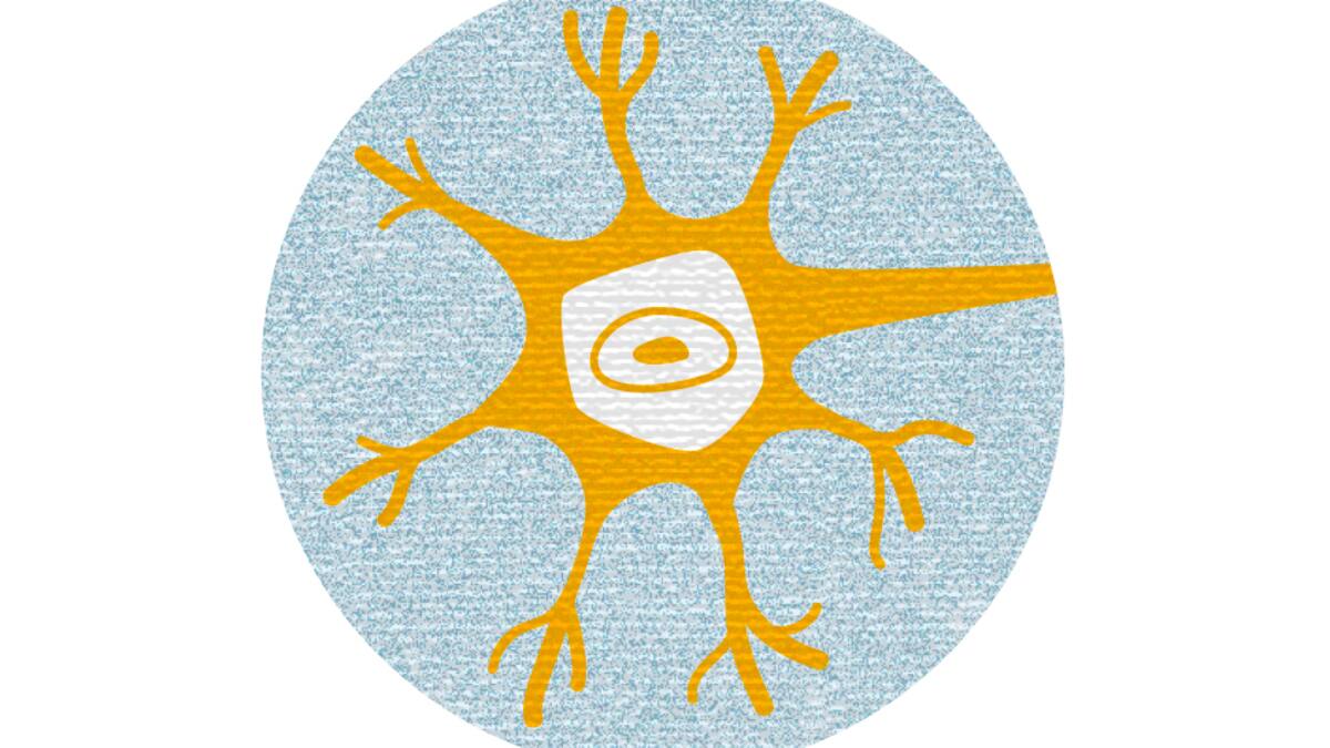 Illustration Nervensystem