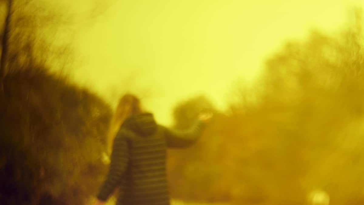 Der Narzisst an ihrer Seite Der Narzisst an ihrer Seite