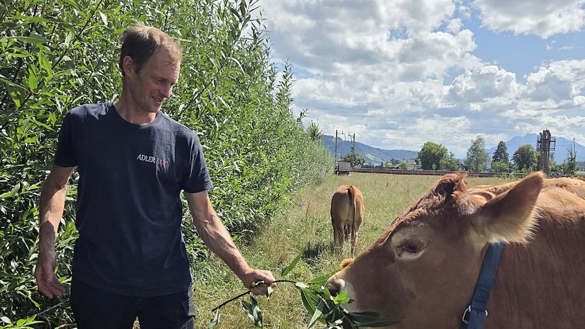 Wie dieser Aargauer Bauer der Jahrhundert-Dürre trotzt Wie dieser Aargauer Bauer der Jahrhundert-Dürre trotzt