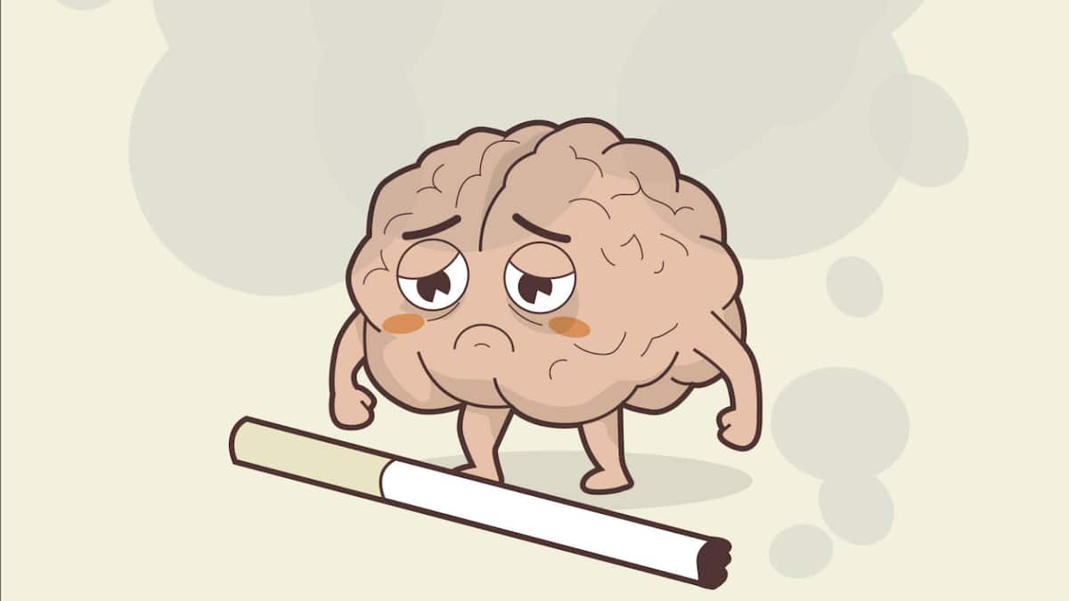 Plötzlich kann ich schneller lesen Plötzlich kann ich schneller lesen