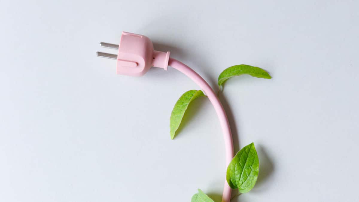 KI und Umwelt: Wie Sie Energie und Wasser sparen können KI und Umwelt: Wie Sie Energie und Wasser sparen können